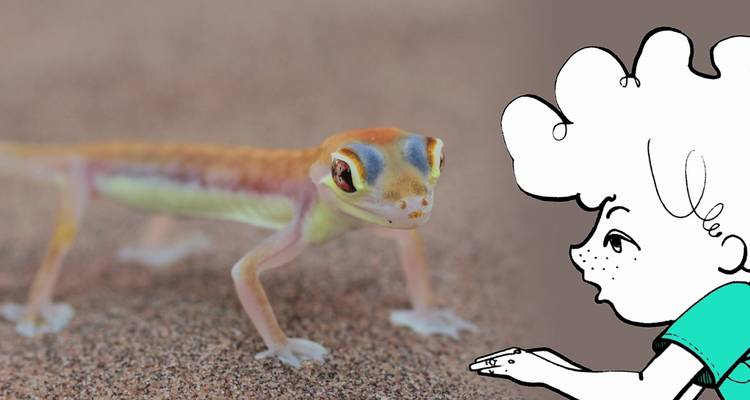 Geanimeerd personage met een gekko in een woestijn.