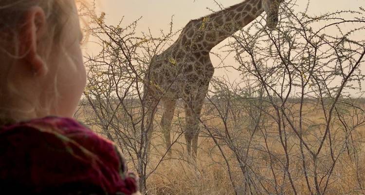 Kind dat naar een giraffe kijkt door droge struiken.