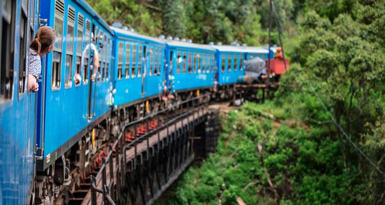 Scenic train journey through lush greenery.