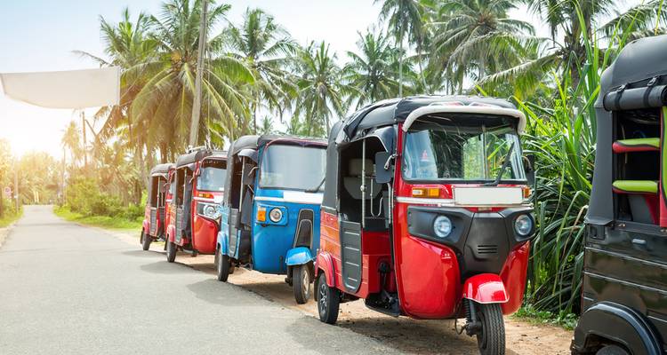 Line of colorful tuk-tuks next to a road lined with palm trees.