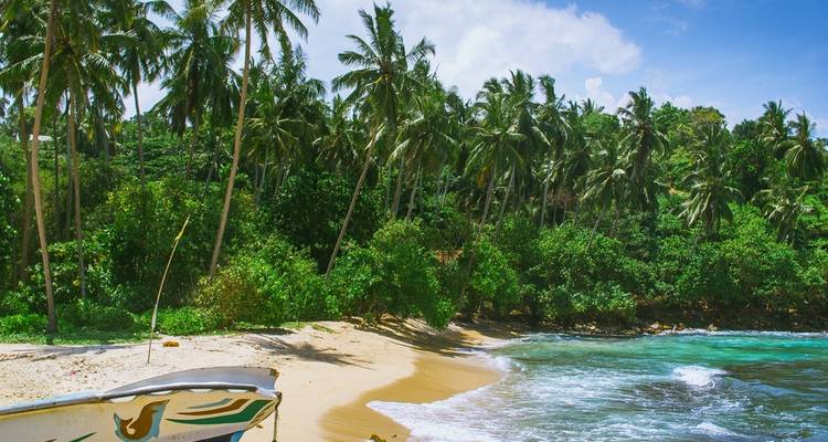 Secluded beach with palm trees and clear waves.