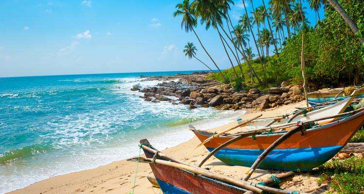 Beach with traditional fishing boats and palm trees.