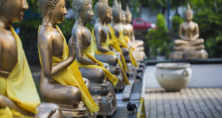 Several Buddha statues draped in yellow scarves.