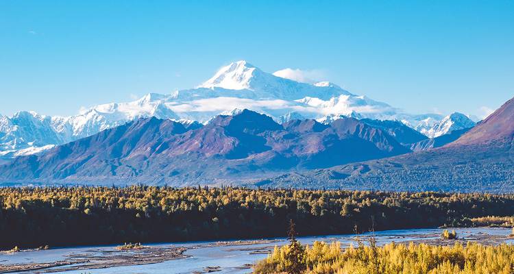 Le Denali aux sommets enneigés s'élève majestueusement au-dessus des forêts d'automne aux couleurs vives et d'une rivière sinueuse sous un ciel d'un bleu cristallin.