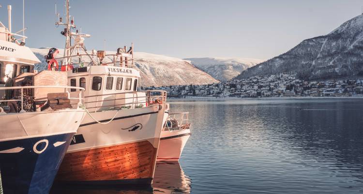 Des bateaux amarrés près du fjord avec des montagnes enneigées en arrière-plan.