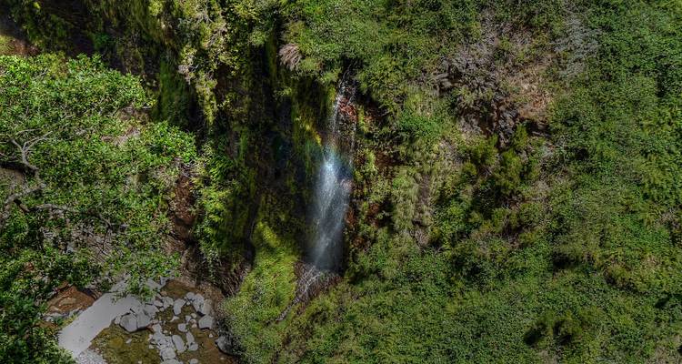 Cascade entourée d'une végétation luxuriante et de falaises rocheuses.