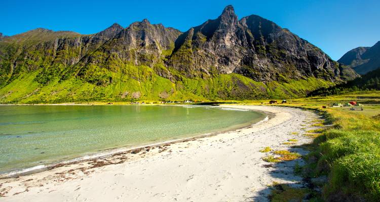 Playa soleada con un acantilado verde llamativo en el fondo.