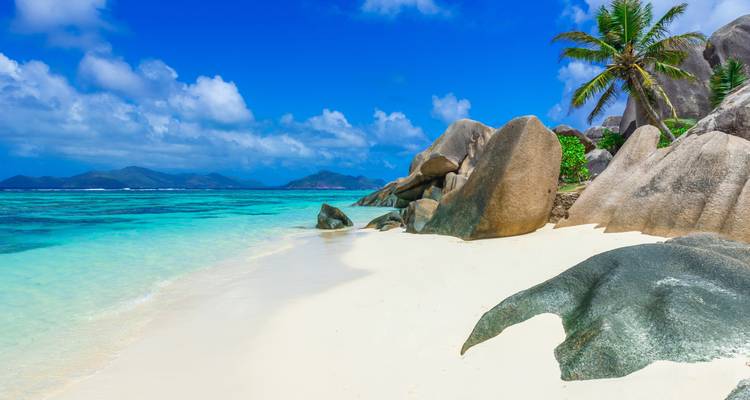 Pristine beach with palm trees and clear ocean.