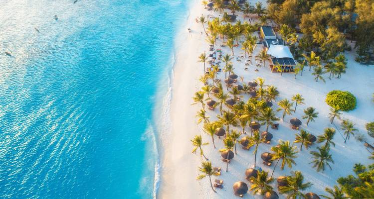 Luftaufnahme eines tropischen Strandes mit Palmen und klarem, blauem Wasser.