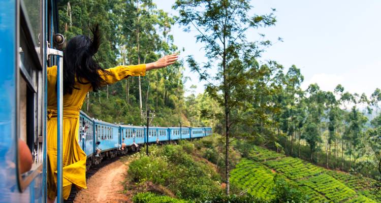 Frau, die sich aus einem leuchtend blauen Zug lehnt, der durch üppiges Grün fährt.