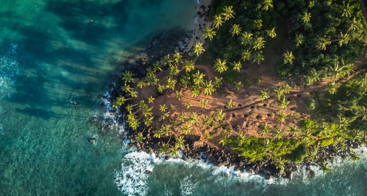 Luftaufnahme einer üppigen Halbinsel mit Wellen, die an die Küste schlagen.