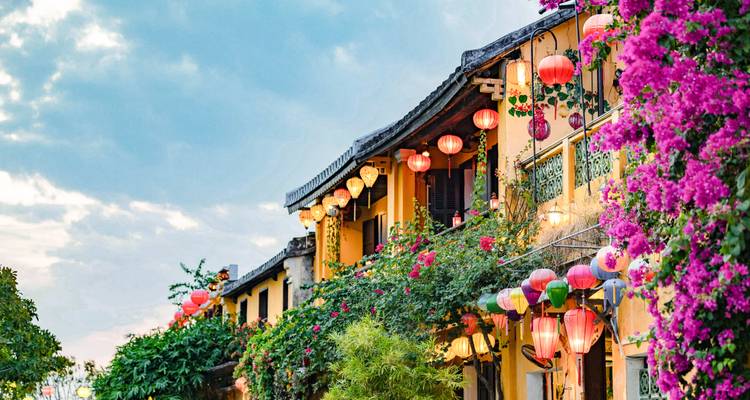Bunte, laternenbeleuchtete Straße mit leuchtenden Blumen.