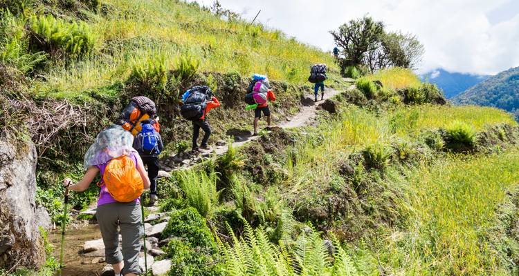 Een groep backpackers die een weelderig, groen wandelpad oplopen.