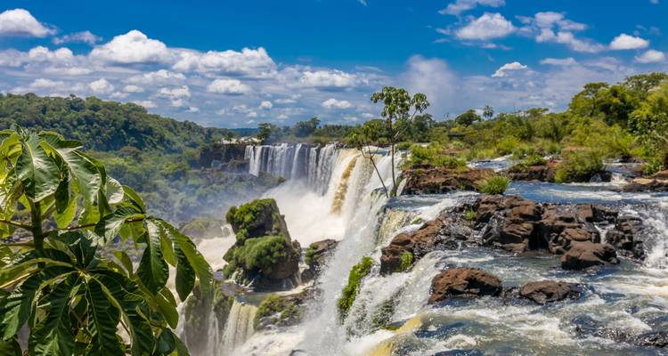 Herrlicher Blick auf die Iguazú-Wasserfälle mit üppigem Grün unter blauem Himmel.