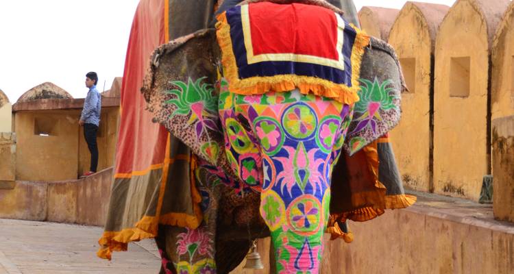 Elephant with colorful decorative patterns on its back.