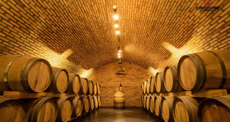 Cave à vin en brique avec de grands tonneaux en bois alignés le long des murs.