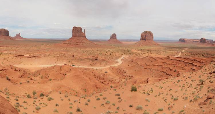 Vue panoramique d'un paysage désertique avec des formations rocheuses distinctives.