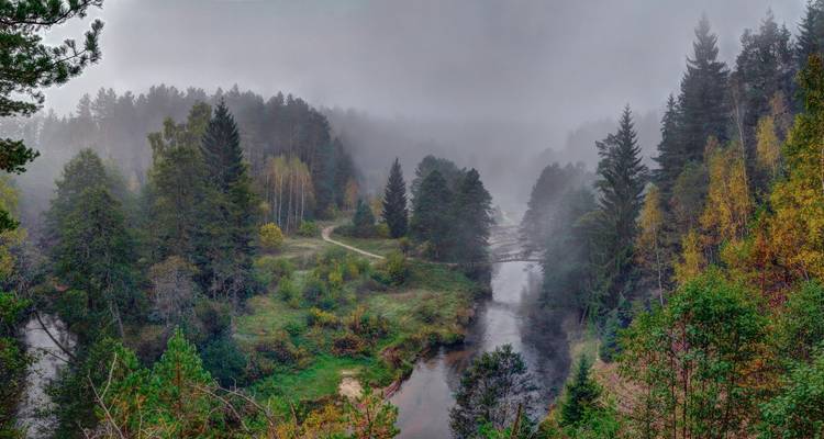 Misty morning view over a pine forest and winding river in a lush valley