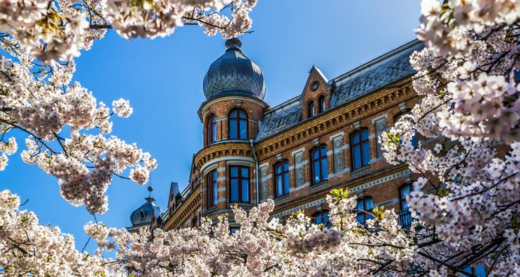 Edificio histórico de ladrillo rodeado de flores de cerezo en flor bajo un cielo azul brillante.