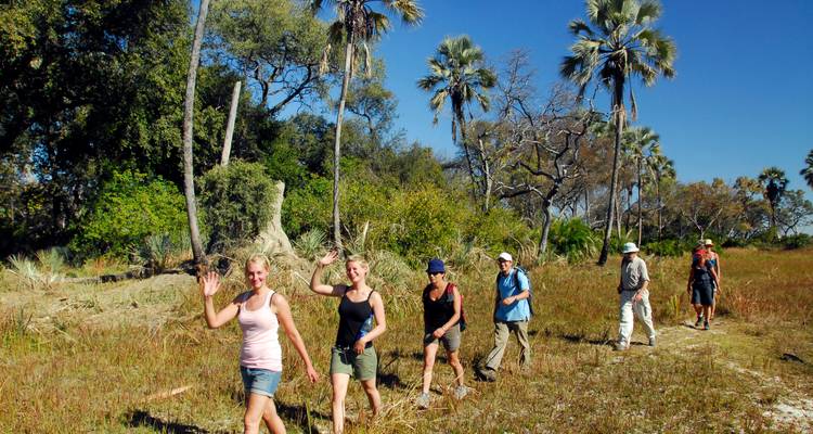 Groupe de randonneurs marchant à travers une savane avec des arbres et du feuillage.