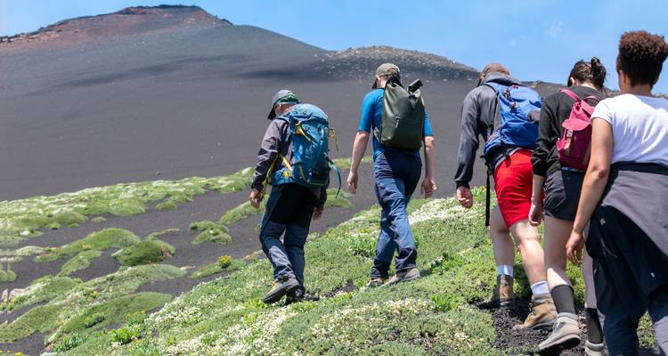 Los excursionistas suben por las laderas verdes del Monte Etna junto a campos oscuros de ceniza volcánica.