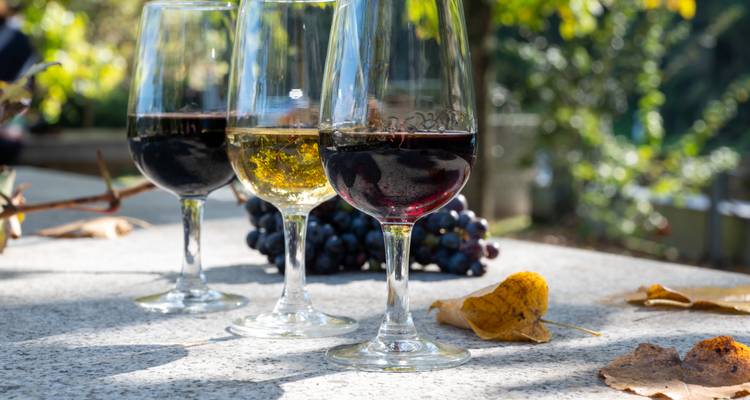 Tres copas de vino tinto y blanco en una mesa de piedra con uvas y hojas de otoño.