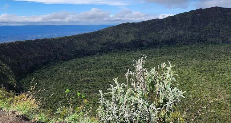 Üppiges Grün umgibt einen Krater unter bewölktem Himmel.