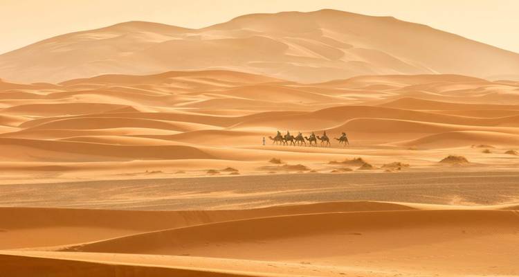 Kamelkarawane in den weiten Sahara-Dünen.