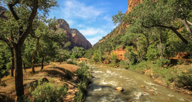 Verdant riverside trail under tall trees beside flowing water and red canyon walls.