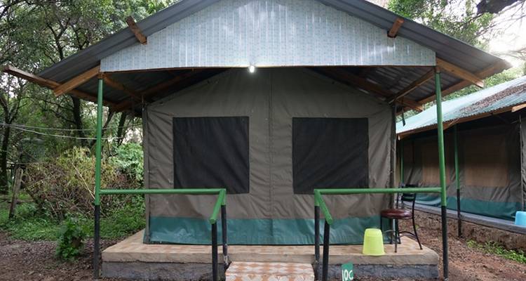Tent op een camping met bomen eromheen.