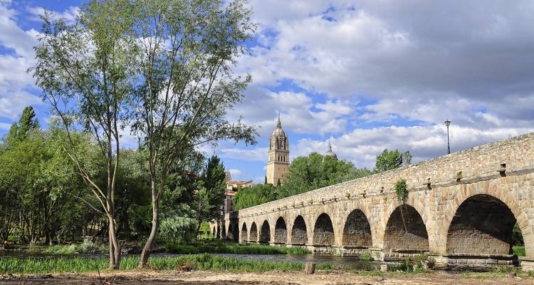 Puente histórico de piedra que cruza un río con un horizonte urbano al fondo.