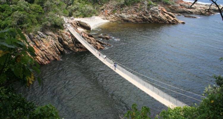 Suspension bridge over water in a coastal landscape.