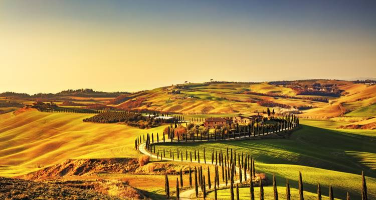 Vue panoramique de la campagne toscane avec des cyprès.