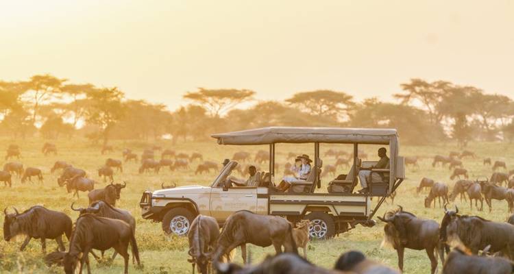 Elefantenherde mit dem Kilimandscharo im Hintergrund