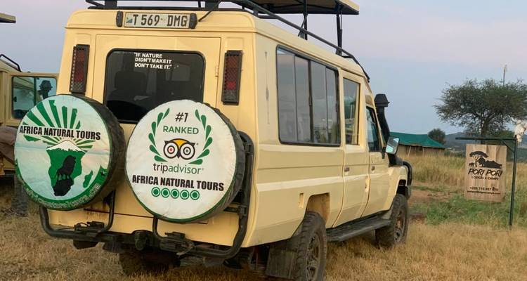 Safari jeep parked on golden grassland at sunrise near a small campsite sign.