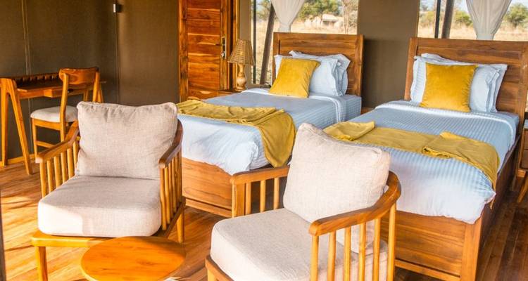 Bright tented camp room with twin beds, yellow cushions and wooden furnishings overlooking the savannah.