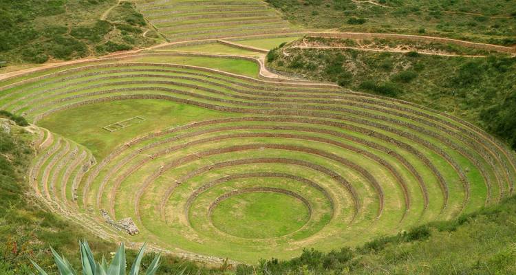 An overhead view of the concentric circular Inca terraces of Moray carved into green hillsides.