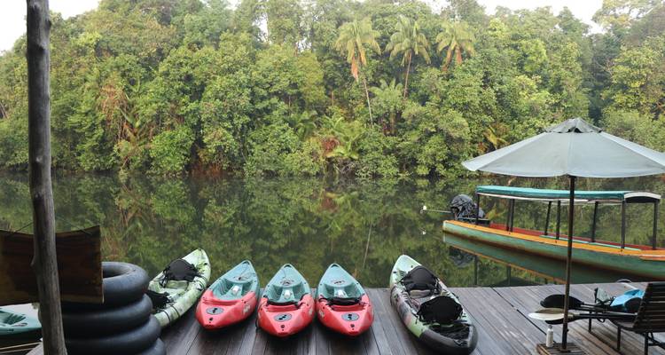 Colourful kayaks line a wooden dock on a calm rainforest river beside a longtail boat.