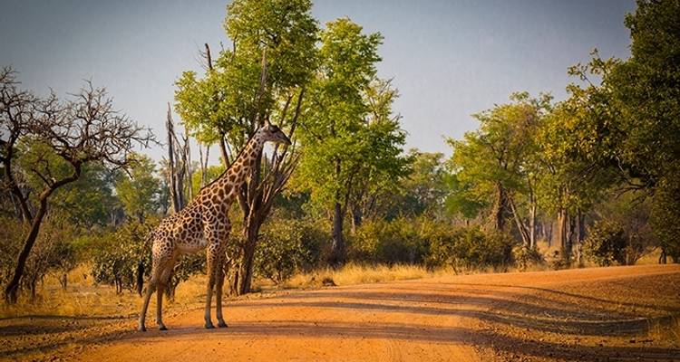 Namibia Nomad - Absolute Africa