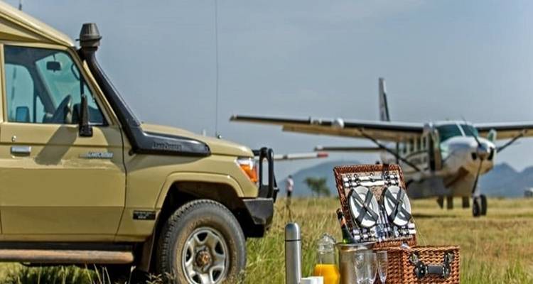Safari-Fahrzeug geparkt neben einem Flugzeug mit Picknick-Aufbau.