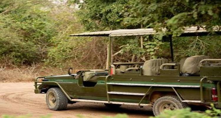 Jeep de safari découvert à ciel ouvert garé sur une piste en terre battue au milieu d'une végétation dense