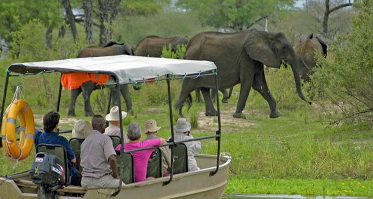 Safari en bateau avec des touristes observant des éléphants qui marchent le long de la rive