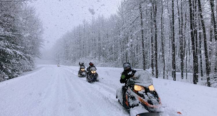 Sneeuwscooterrijders die door een besneeuwd bos reizen tijdens sneeuwval.