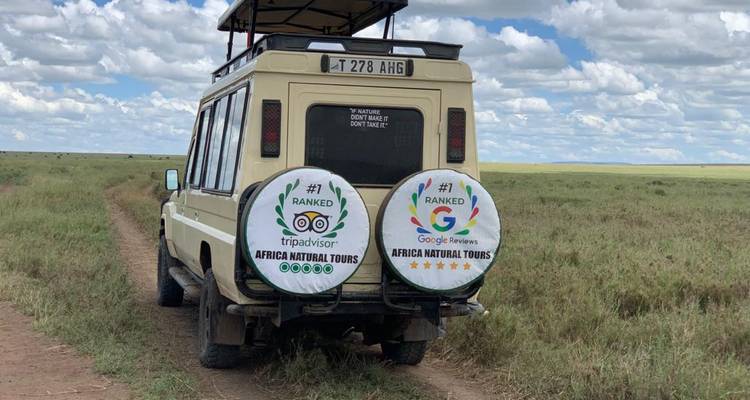 Safarijeep auf einer Schotterpiste über offene Savanne, Ersatzreifen mit Bewertungsabzeichen an der Rückseite.