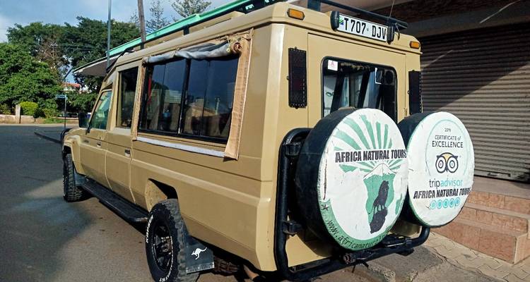 Safari-Fahrzeug am Straßenrand geparkt.