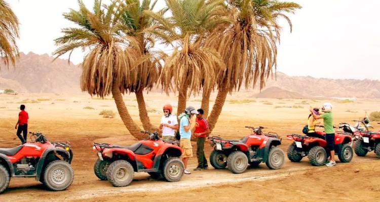Rangée de quads rouges avec des conducteurs portant des casques qui s'arrêtent à côté de palmiers du désert.