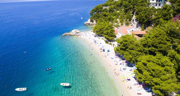 Strand mit türkisfarbenem Wasser und üppigem Grün.