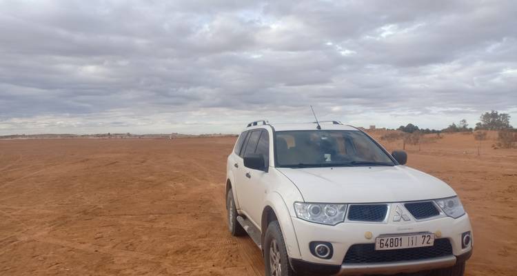 Ein weißer SUV in einer kargen Landschaft unter einem bewölkten Himmel.