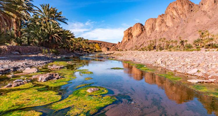 Oasis con un río y palmeras rodeado de paisaje rocoso.