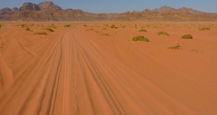 Wüstenlandschaft mit Fahrzeugspuren und fernen felsigen Hügeln im Wadi Rum.